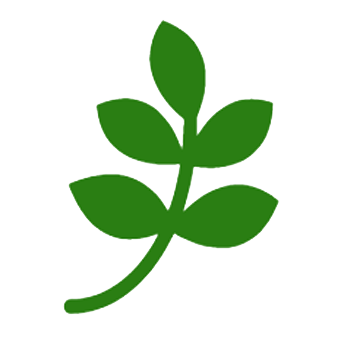 Heilpraktikerin Janis Reinhardt Annaberg-Buchholz Logo